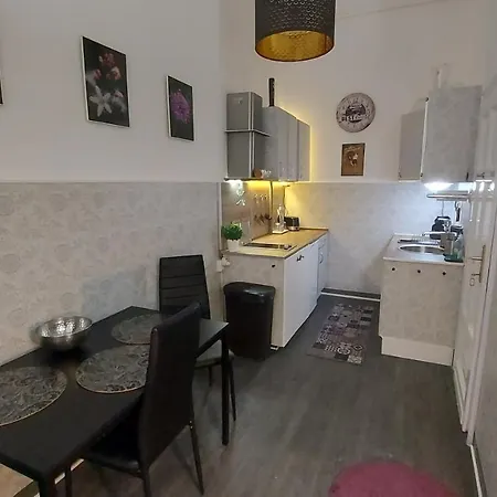 Daire Center Terrace Budapeşte