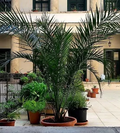 Daire Center Terrace *