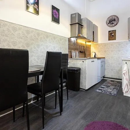 Center Terrace Daire Budapeşte