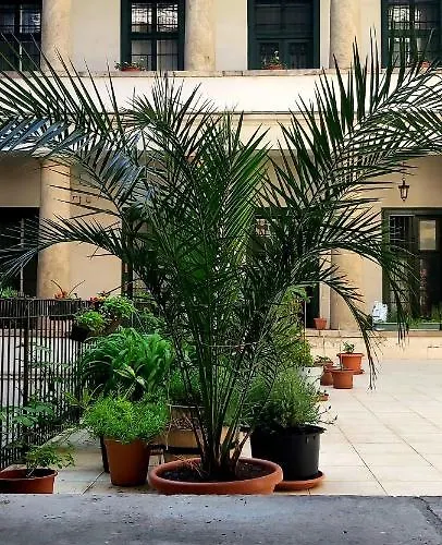 Apartmán Center Terrace *